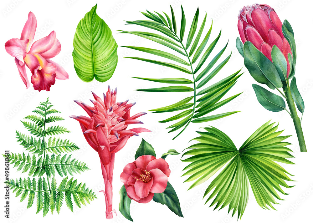 Fototapeta premium Set of tropical flowers and palm leaves. Watercolor isolated floral elements.
