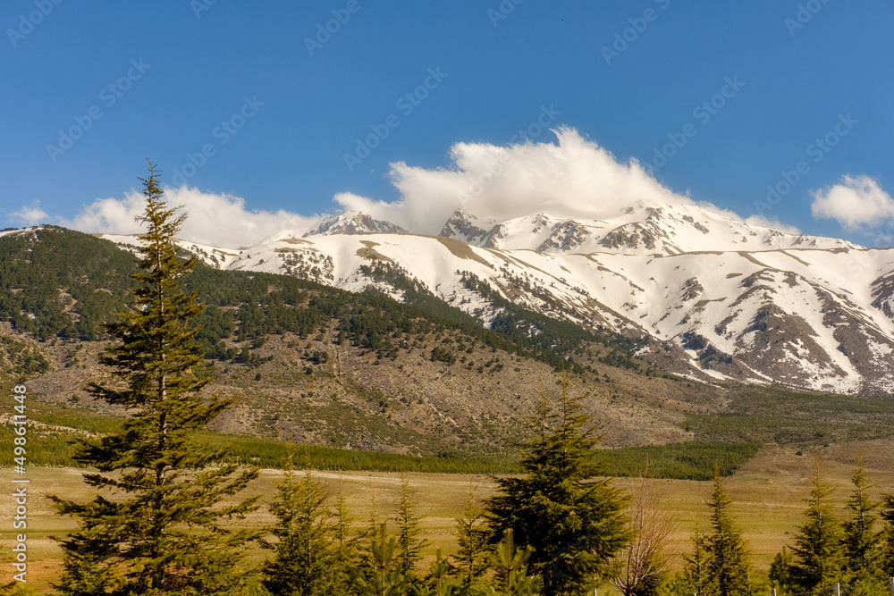 Snowy mountain in Spring