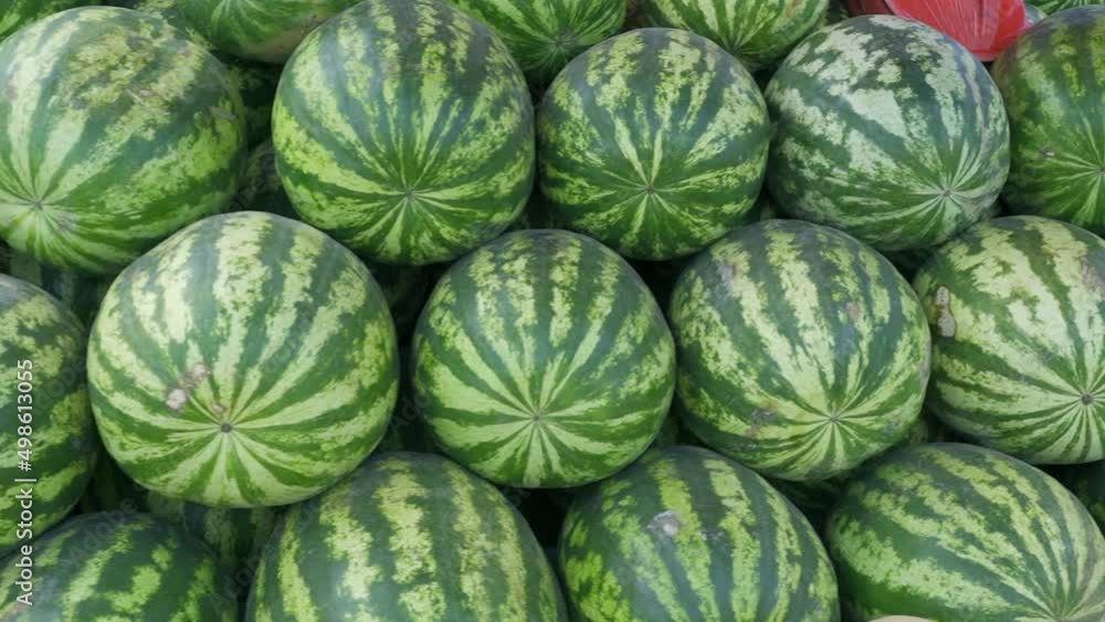 ripe natural organic watermelons on market. ripe natural organic watermelons on market.