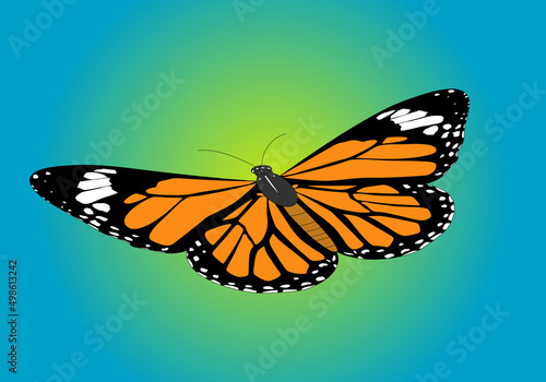 Mariposa monarca naranja, negra y blanca sobre cielo azul