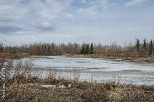 Pylypow Wetlands on a Partially Cloudy Spring Day