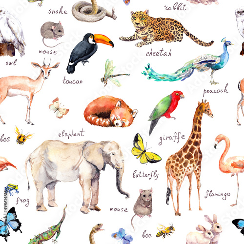 Many various wild animals  birds - zoo  wildlife elefant  giraffe  red panda  cheetah  flamingo  snake  parrot and other . Seamless pattern with a lot of mammal creatures. Watercolor with text