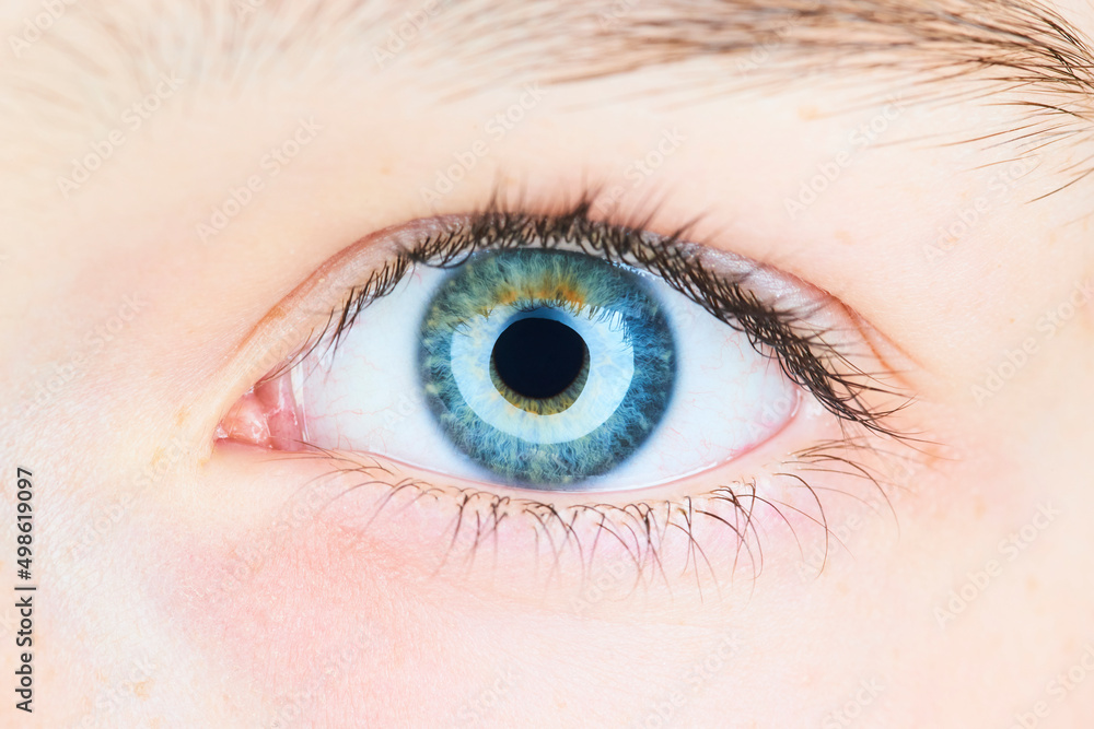 Obraz premium Macro of blue child girl eye. High selective focus. Detail of eye
