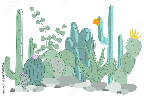 Kit of different green succulents on a white background. Vector cactus drawn with simple lines.