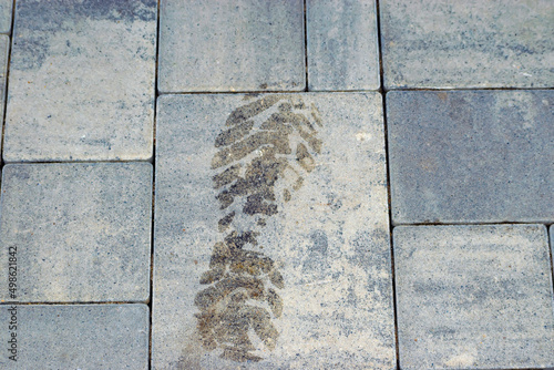 a wet footprint from a shoe on the sidewalk. a boot print on the road.