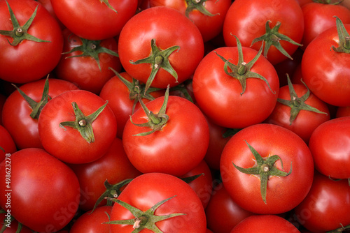 background of ripe natural organic red tomatoes.
