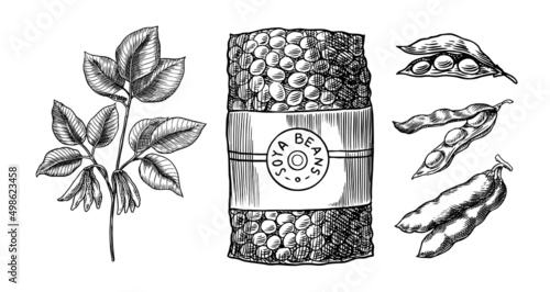 Soya beans. Milk and tofu. Soybean sketch. Pod on plant. Nuts and seeds in sack. Detailed vegetarian food and leaves drawing. hand drawn illustration for menu, label, icon or poster.