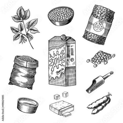 Soy milk in vintage style. Vegetarian product, healthy drink. Ingredients for cooking. Grains and beans. Hand drawn drawn doodle sketch. Vector illustration.