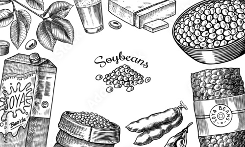 Soya beans. Milk and tofu. Soybean sketch. Pod on plant. Nuts and seeds in sack. Detailed vegetarian food and leaves drawing. hand drawn illustration for menu, label, icon or poster.