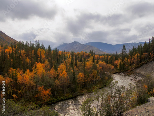 A river with a rocky bottom in an autumn forest on a cloudy day.