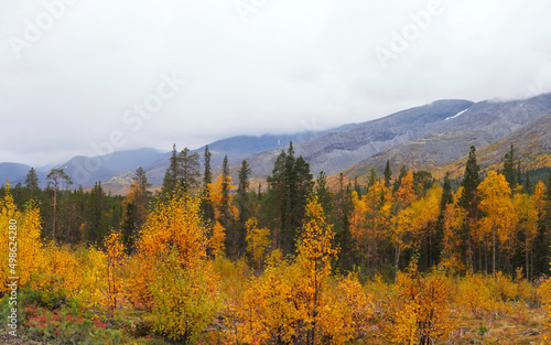 Autumn colorful tundra on the background mountain peaks in cloudy weather. Mountain landscape in Kola Peninsula, Arctic, Khibiny Mountains. © Andrey