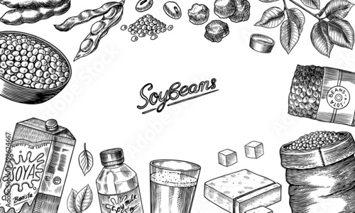 Soya beans. Milk and tofu. Soybean sketch. Pod on plant. Nuts and seeds in sack. Detailed vegetarian food and leaves drawing. hand drawn illustration for menu, label, icon or poster.