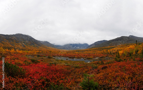 Autumn colorful tundra on the background mountain peaks in cloudy weather. Mountain landscape in Kola Peninsula, Arctic, Khibiny Mountains.