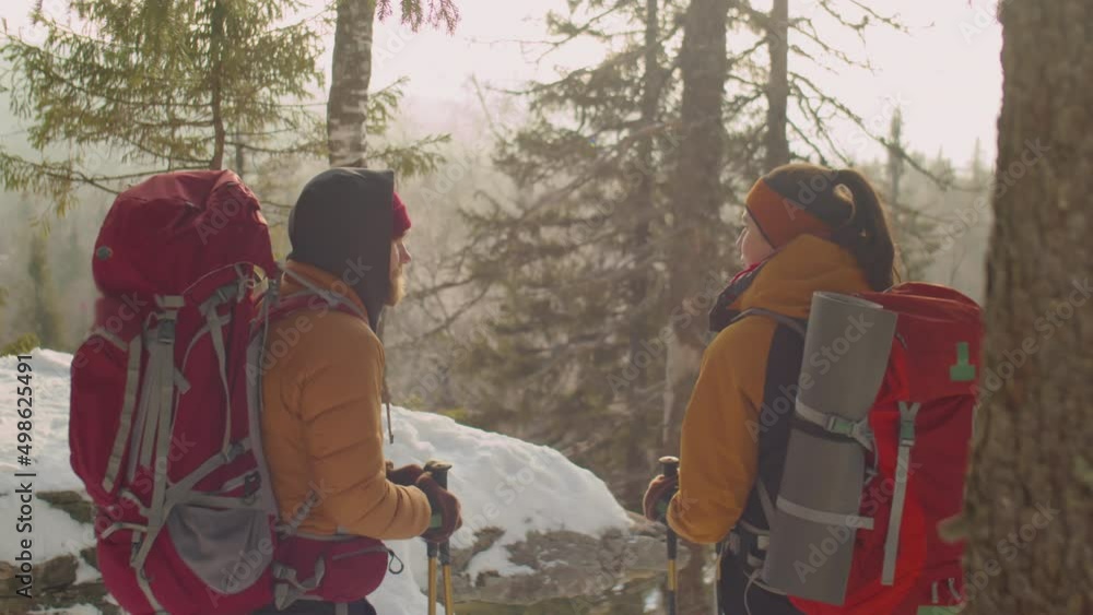 Back view of tourist couple with backpacks and trekking poles standing together in mountains and discussing scenic view of winter nature Back view of tourist couple with backpacks and trekking poles standing together in mountains and discussing scenic view of winter nature