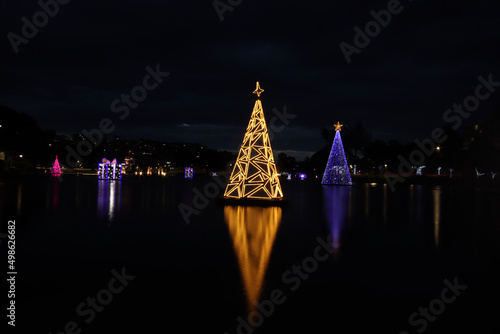 Photography christmas tree at night