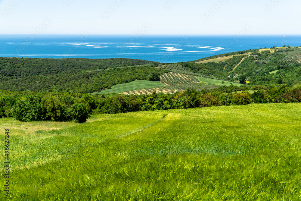landscape with field and blue sky landscape with field and blue sky