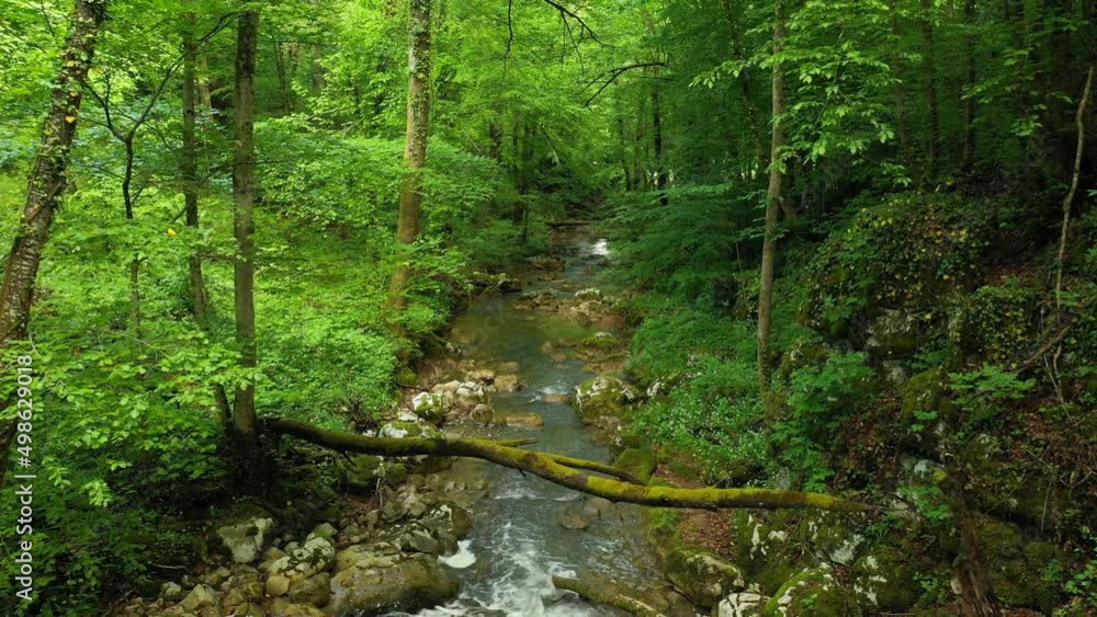 Majestic green clean forest stream top view drone shot. Majestic green clean forest stream top view drone shot.