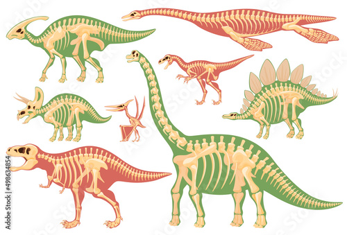 Skeleton of carnivorous and herbivorous foot-and-mouth disease. Archaeological excavations of dinosaur fossils. Studies of ancient animals. Vector illustration on a white background.