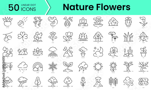 Foto Set of nature flowers icons