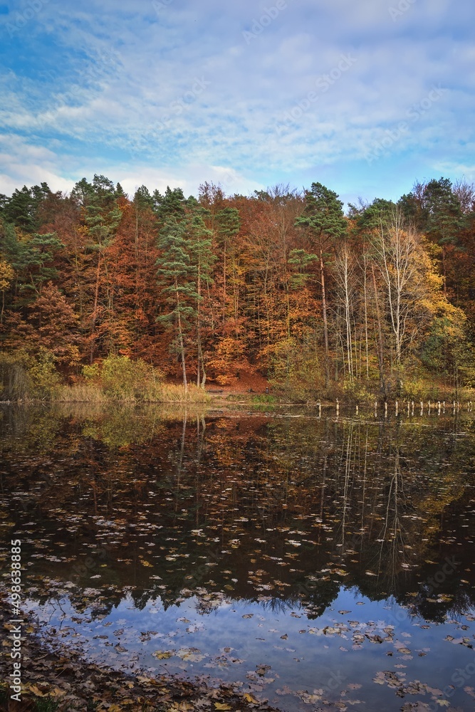 Autumn scene by the water. Colorful trees reflecting in a beautiful pond.