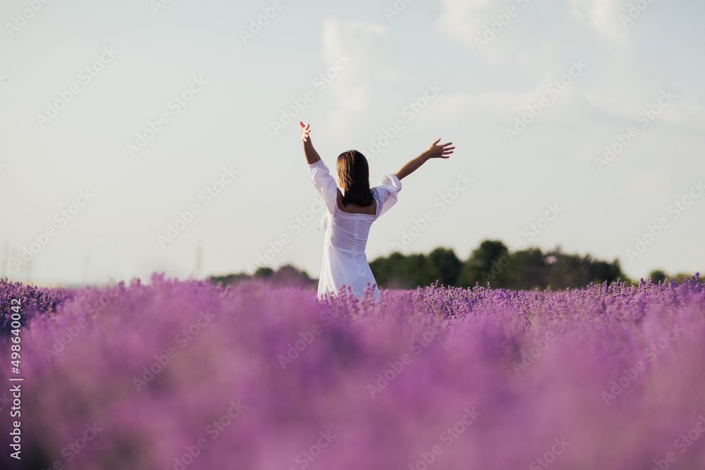 Back view of young happy free woman raising hands up while walking through lavender field in Provence in France. Back view of young happy free woman raising hands up while walking through lavender field in Provence in France.
