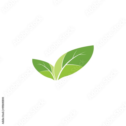 Logos of green leaf ecology nature element vector icon © amin