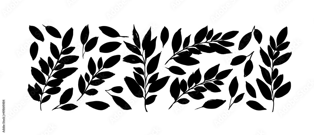 Set of tropical leaves in silhouettes. Hand drawn black brush leaves isolated on white background. Grunge plant silhouettes. Hand drawn eucalyptus foliage, herbs, tree branches. Modern illustrations 