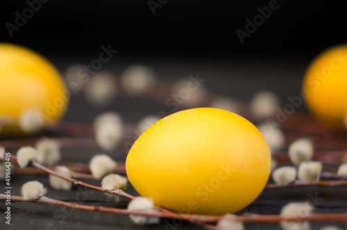 Eggs and willow on a wooden background