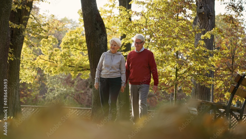 Happy senior Caucasian couple walking in the park smiling healthy lifestyle selective focus full shot copy space . High quality photo Happy senior Caucasian couple walking in the park smiling healthy lifestyle selective focus full shot copy space . High quality photo