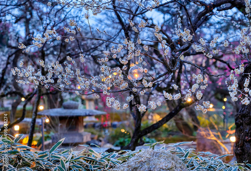 京都、北野天満宮の花の庭 photo