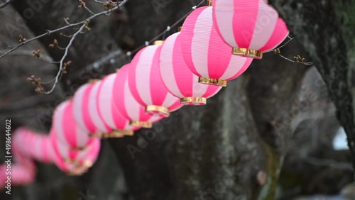 Where the festival lanterns are swaying in the wind