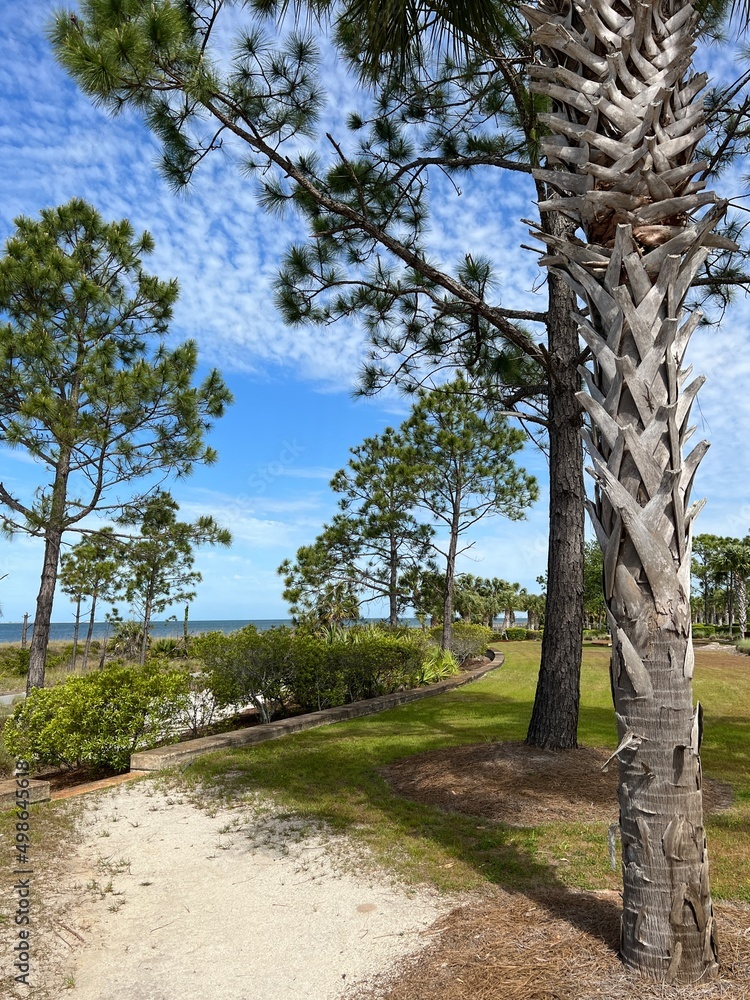 Bay Area at Point St. Joe Florida 