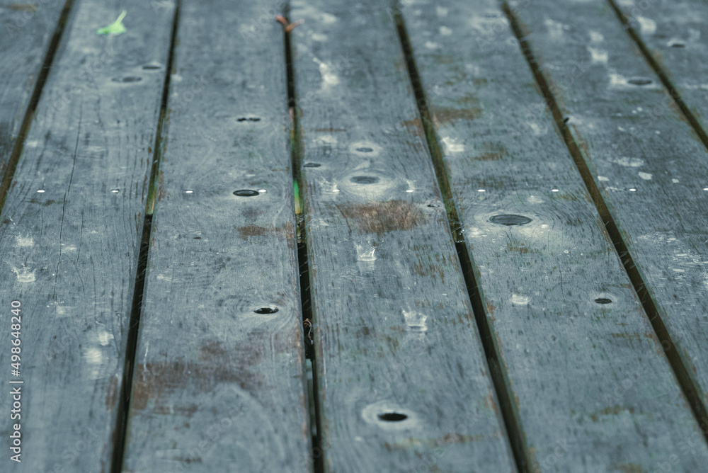 雨を弾く木板 雨を弾く木板