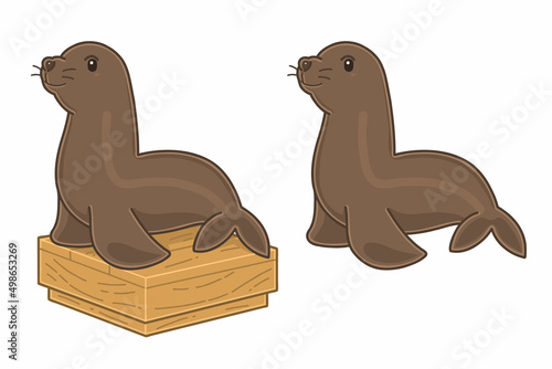 San Francisco Seals. Vector illustrations set. photo