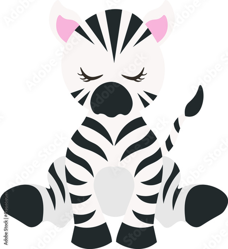 Photography Tropical Animals Clipart