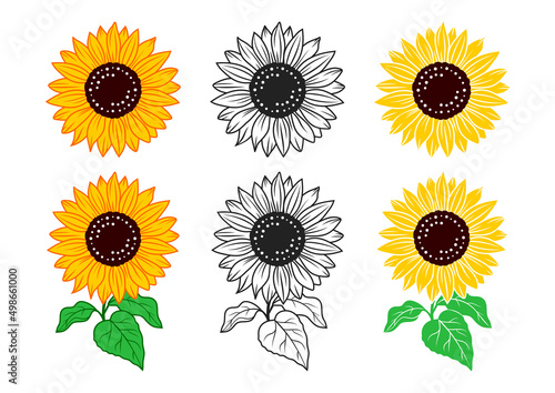 Sunflowers set vector illustration, Hand drawn sunflowers