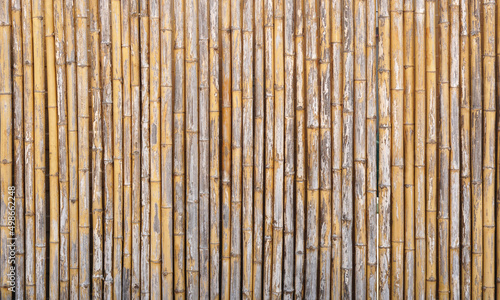 Fototapeta Naklejka Na Ścianę i Meble -  beautiful lined dried bamboo background                 