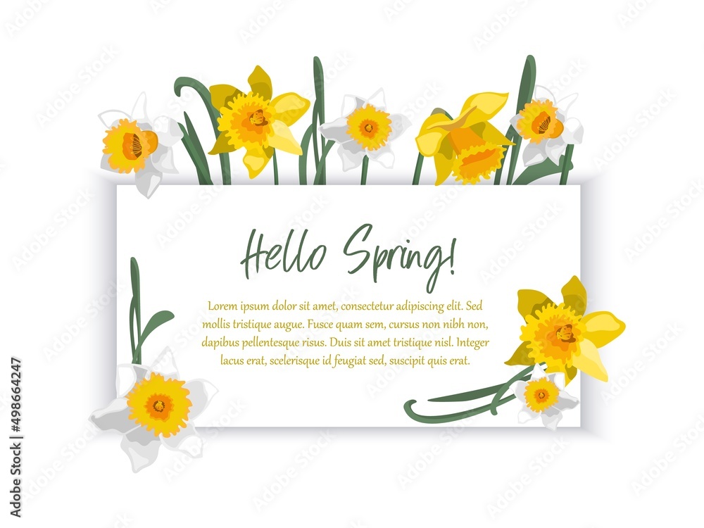 Romantic banner with floral border of daffodils. Template for greeting, invitation, advertising. 