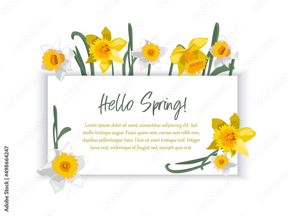 Fototapeta premium Romantic banner with floral border of daffodils. Template for greeting, invitation, advertising. 