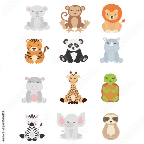 Set of tropical animals