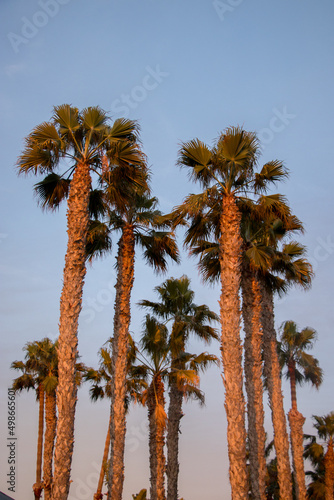 Fototapeta Naklejka Na Ścianę i Meble -  SoCal Sunsets in Redondo Beach