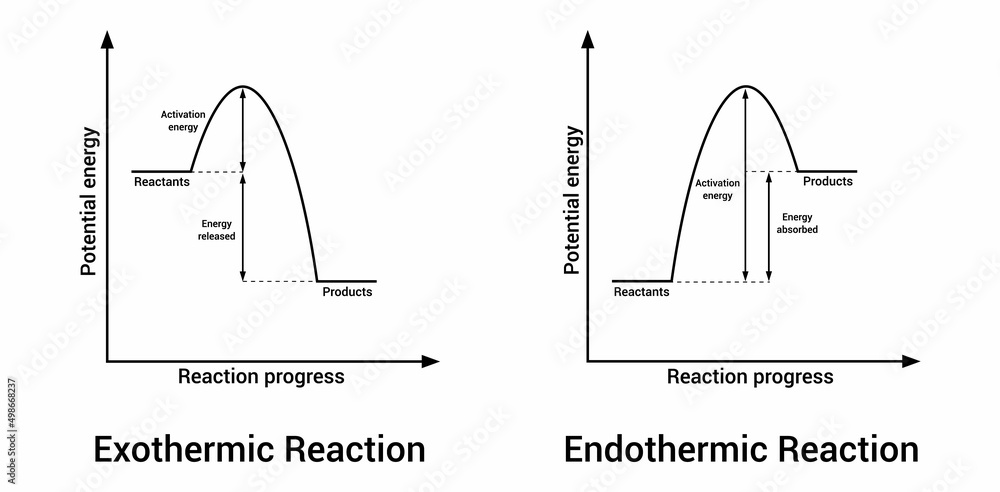 Exothermic And Endothermic Reactions In Chemistry Stock Vector Adobe 
