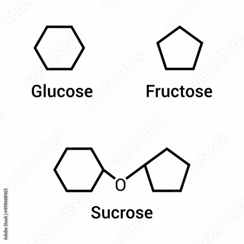 glucose fructose and sucrose icon vector photo