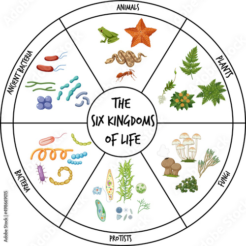 The six kingdoms of life
