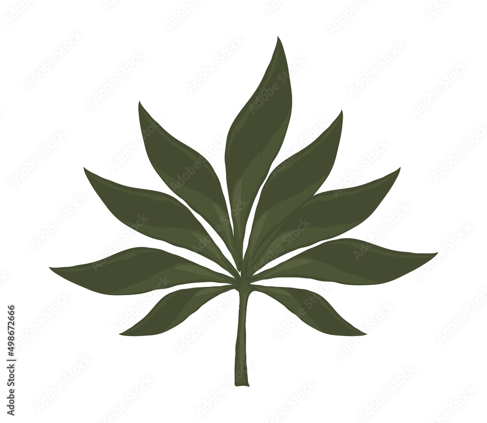 foliage plant icon