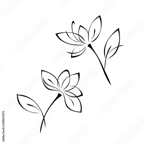 ornament 2275. two separate stylized flowers with large petals on short stems with a leaf in black lines on a white background