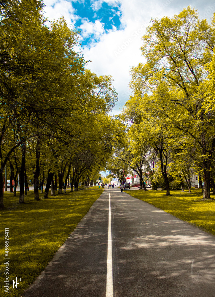 road in the park