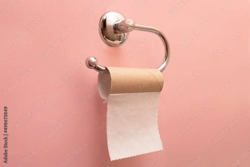 Empty toilet paper roll. The last sheet of toilet paper. Pink background.  Emergency situation. Stock Photo
