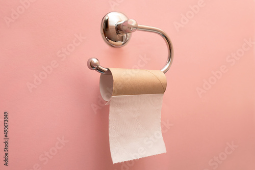 Tableau sur toile Empty toilet paper roll