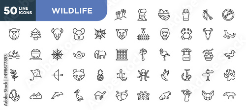set of 50 outline wildlife icons. editable thin line icons such as branches, cobweb, teapot, archery, mountains, dolphin, baobab stock vector.